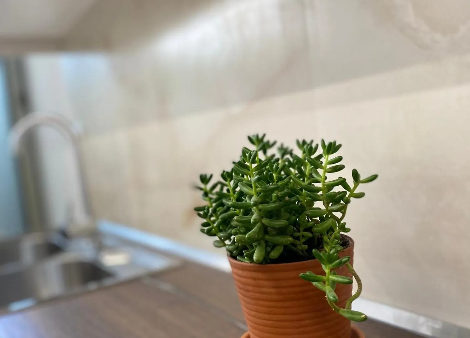 Flors Apartments Durrës 0*,  알바니아